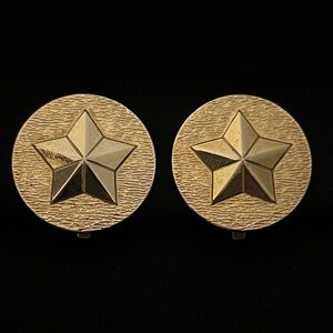 Sarah Coventry Earrings